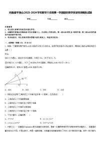 河南省平顶山2023-2024学年数学八年级第一学期期末教学质量检测模拟试题含答案