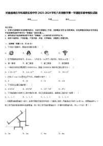 河南省商丘市柘城县实验中学2023-2024学年八年级数学第一学期期末联考模拟试题含答案