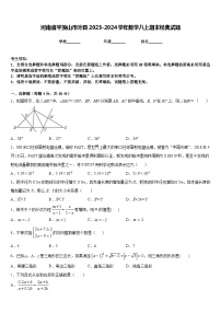 河南省平顶山市叶县2023-2024学年数学八上期末经典试题含答案