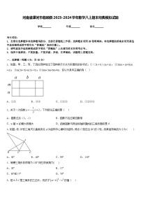 河南省漯河市临颍县2023-2024学年数学八上期末经典模拟试题含答案