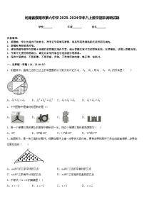 河南省濮阳市第六中学2023-2024学年八上数学期末调研试题含答案