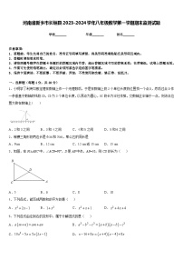 河南省新乡市长垣县2023-2024学年八年级数学第一学期期末监测试题含答案