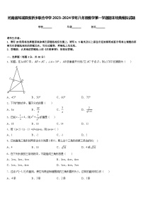 河南省柘城县张桥乡联合中学2023-2024学年八年级数学第一学期期末经典模拟试题含答案