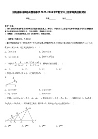 河南省郑州枫杨外国语中学2023-2024学年数学八上期末经典模拟试题含答案