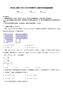 浙江省（温州）2023-2024学年数学八上期末学业质量监测试题含答案