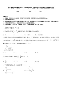 浙江省绍兴市暨阳2023-2024学年八上数学期末学业质量监测模拟试题含答案