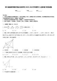 浙江省温州市瑞安市集云实验学校2023-2024学年数学八上期末复习检测试题含答案