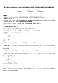 浙江省绍兴市海亮2023-2024学年数学八年级第一学期期末教学质量检测模拟试题含答案