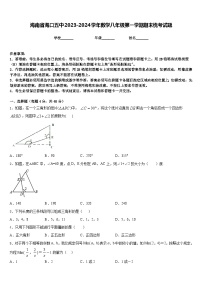 海南省海口五中2023-2024学年数学八年级第一学期期末统考试题含答案