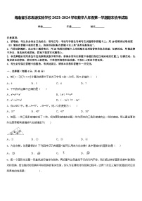 海南省乐东思源实验学校2023-2024学年数学八年级第一学期期末统考试题含答案