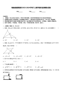 海南省省直辖县2023-2024学年八上数学期末监测模拟试题含答案