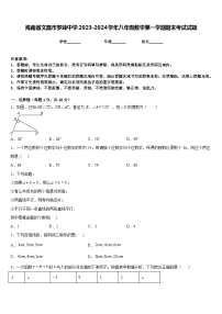 海南省文昌市罗峰中学2023-2024学年八年级数学第一学期期末考试试题含答案