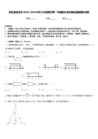 湖北省恩施市2023-2024学年八年级数学第一学期期末质量跟踪监视模拟试题含答案