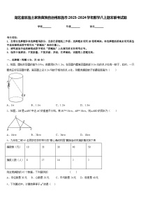 湖北省恩施土家族苗族自治州恩施市2023-2024学年数学八上期末联考试题含答案