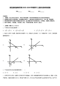 湖北省恩施州咸丰县2023-2024学年数学八上期末达标检测试题含答案