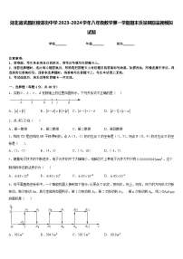 湖北省武昌区粮道街中学2023-2024学年八年级数学第一学期期末质量跟踪监视模拟试题含答案