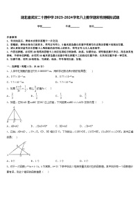 湖北省武汉二十四中学2023-2024学年八上数学期末检测模拟试题含答案