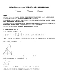 湖北省武汉市2023-2024学年数学八年级第一学期期末调研试题含答案