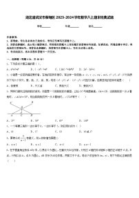 湖北省武汉市蔡甸区2023-2024学年数学八上期末经典试题含答案