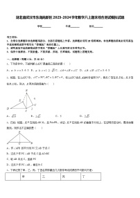 湖北省武汉市东湖高新区2023-2024学年数学八上期末综合测试模拟试题含答案