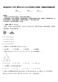 湖北省武汉市二中学广雅中学2023-2024学年数学八年级第一学期期末检测模拟试题含答案