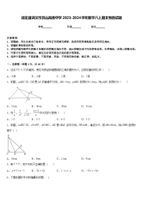 湖北省武汉市洪山高级中学2023-2024学年数学八上期末预测试题含答案