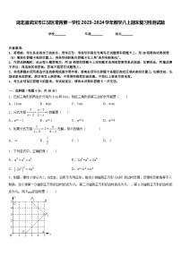 湖北省武汉市江汉区常青第一学校2023-2024学年数学八上期末复习检测试题含答案