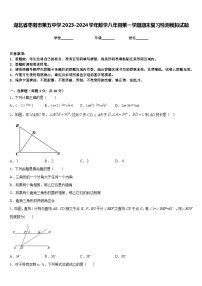 湖北省枣阳市第五中学2023-2024学年数学八年级第一学期期末复习检测模拟试题含答案