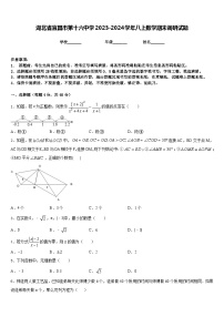 湖北省宜昌市第十六中学2023-2024学年八上数学期末调研试题含答案