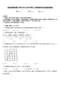 湖北省枣阳市第三中学2023-2024学年八上数学期末学业质量监测试题含答案