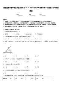 湖北省孝感市孝南区肖港初级中学2023-2024学年八年级数学第一学期期末联考模拟试题含答案