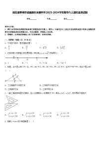 湖北省鄂州市城南新区吴都中学2023-2024学年数学八上期末监测试题含答案