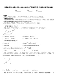 湖北省黄冈市红安二中学2023-2024学年八年级数学第一学期期末复习检测试题含答案