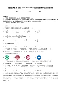 湖北省黄石市下陆区2023-2024学年八上数学期末教学质量检测试题含答案