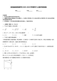 湖北省麻城思源学校2023-2024学年数学八上期末检测试题含答案