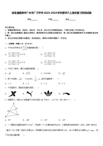 湖北省随州市广水市广才中学2023-2024学年数学八上期末复习检测试题含答案