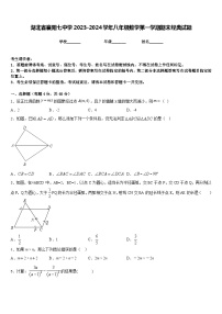 湖北省襄阳七中学2023-2024学年八年级数学第一学期期末经典试题含答案