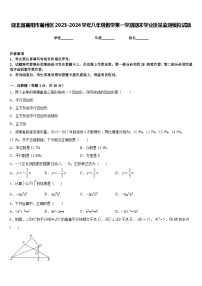 湖北省襄阳市襄州区2023-2024学年八年级数学第一学期期末学业质量监测模拟试题含答案