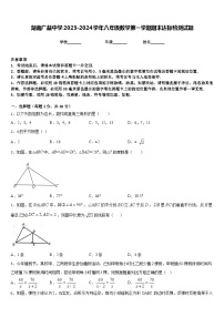 湖南广益中学2023-2024学年八年级数学第一学期期末达标检测试题含答案