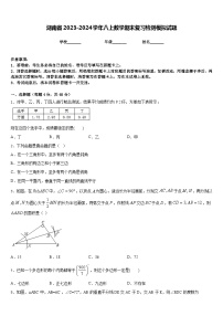 湖南省2023-2024学年八上数学期末复习检测模拟试题含答案