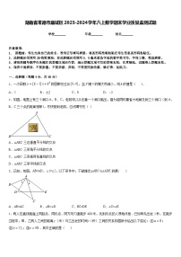 湖南省常德市鼎城区2023-2024学年八上数学期末学业质量监测试题含答案