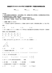 湖南省洪江市2023-2024学年八年级数学第一学期期末调研模拟试题含答案