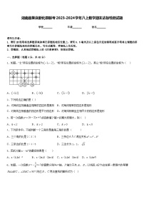 湖南省娄底新化县联考2023-2024学年八上数学期末达标检测试题含答案