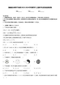 湖南省永州市宁远县2023-2024学年数学八上期末学业质量监测试题含答案