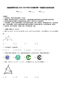 湖南省湘潭市名校2023-2024学年八年级数学第一学期期末达标测试试题含答案