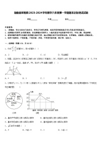 湖南省祁阳县2023-2024学年数学八年级第一学期期末达标测试试题含答案