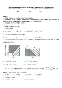 湖南省株洲市醴陵市2023-2024学年八上数学期末复习检测模拟试题含答案