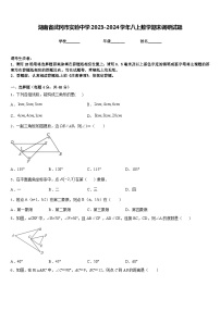 湖南省武冈市实验中学2023-2024学年八上数学期末调研试题含答案