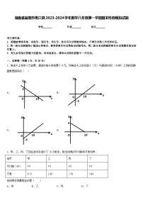 湖南省益阳市桃江县2023-2024学年数学八年级第一学期期末检测模拟试题含答案