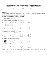 湖南省双峰县2023-2024学年数学八年级第一学期期末经典模拟试题含答案